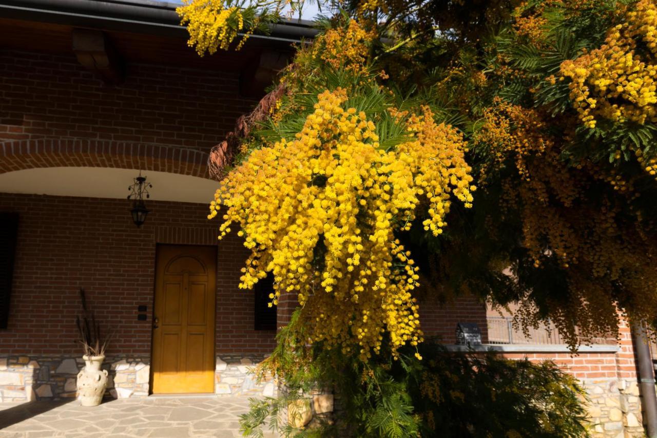 Villa Anna Moncalieri Eksteriør billede